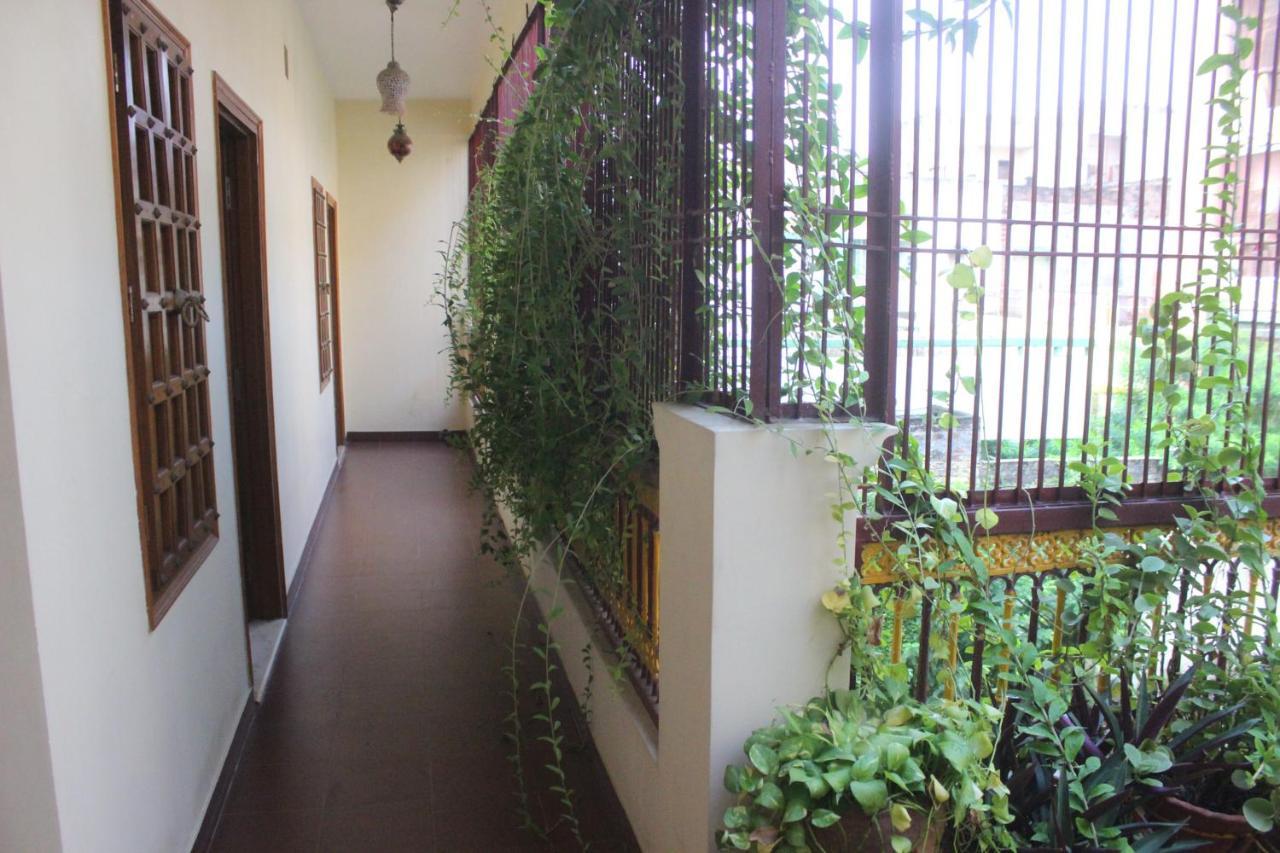Homestay *